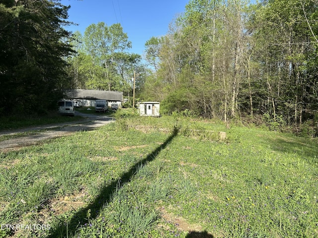 view of yard featuring a carport, an outbuilding, driveway, and a storage unit