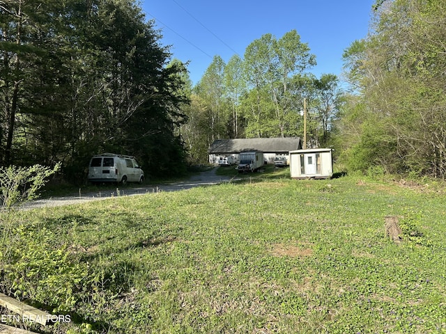 view of yard with a shed and an outbuilding