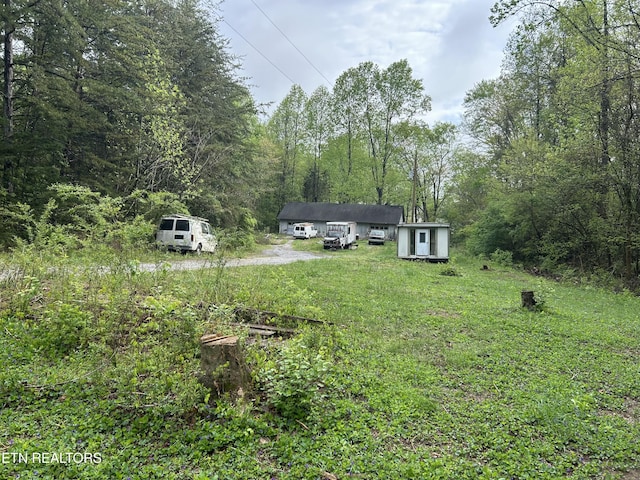 view of yard with a storage shed, a forest view, and an outdoor structure