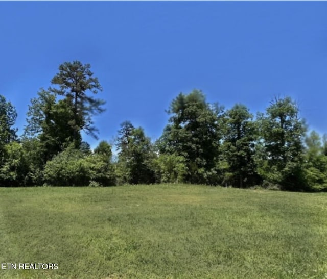 3630 Lashbrooke Way, Louisville, TN 37777 - photo 7