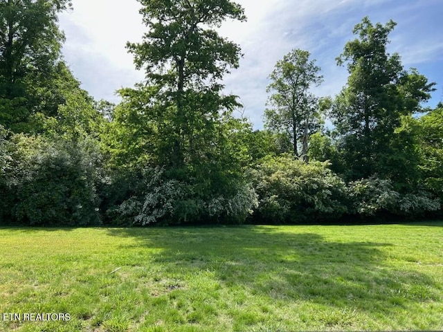 3630 Lashbrooke Way, Louisville, TN 37777 - photo 6