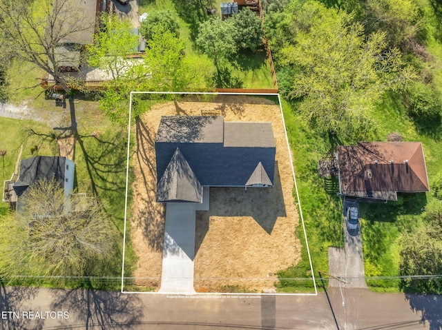 bird's eye view