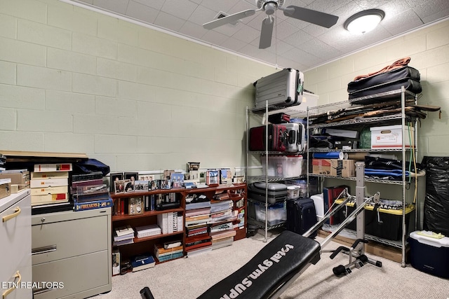 405 Tecumseh Pt, Loudon, TN 37774 - storage area featuring a ceiling fan