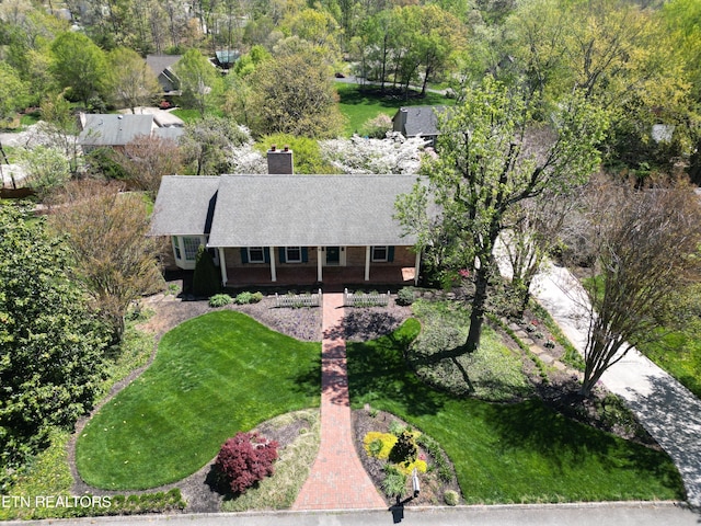 bird's eye view