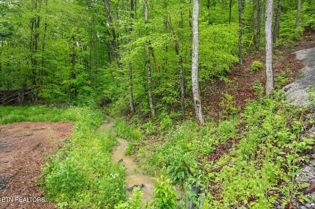 view of local wilderness with a view of trees