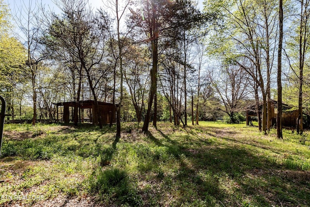 9149 Millertown Pike, Mascot, TN 37806 - photo 44