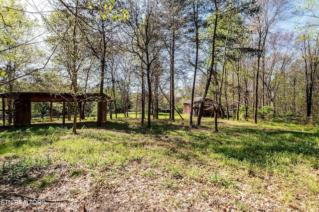 9149 Millertown Pike, Mascot, TN 37806 - photo 45