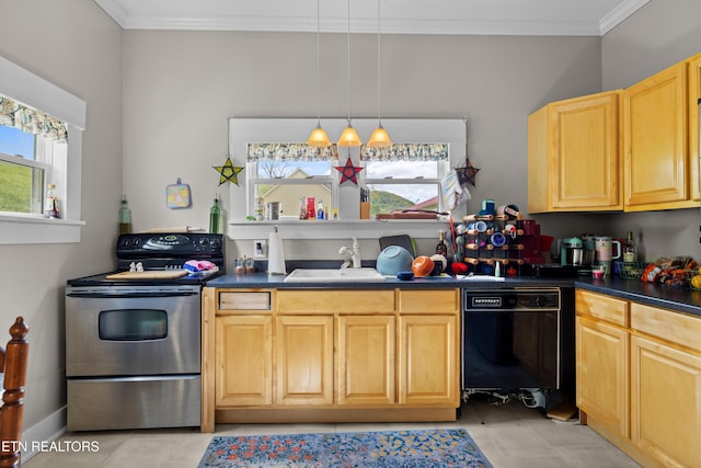 207 Loomis St, Tellico Plains, TN 37385 - kitchen with black dishwasher, a sink, ornamental molding, dark countertops, and stainless steel electric range
