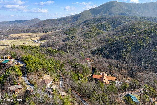 view of property location featuring a mountainous background and a forest