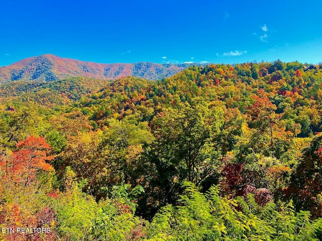 mountain view with a forest