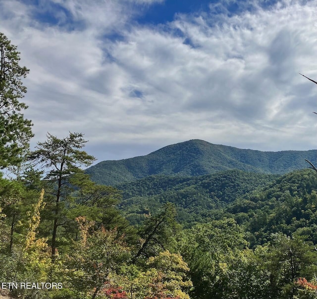 view of mountain background with a forest