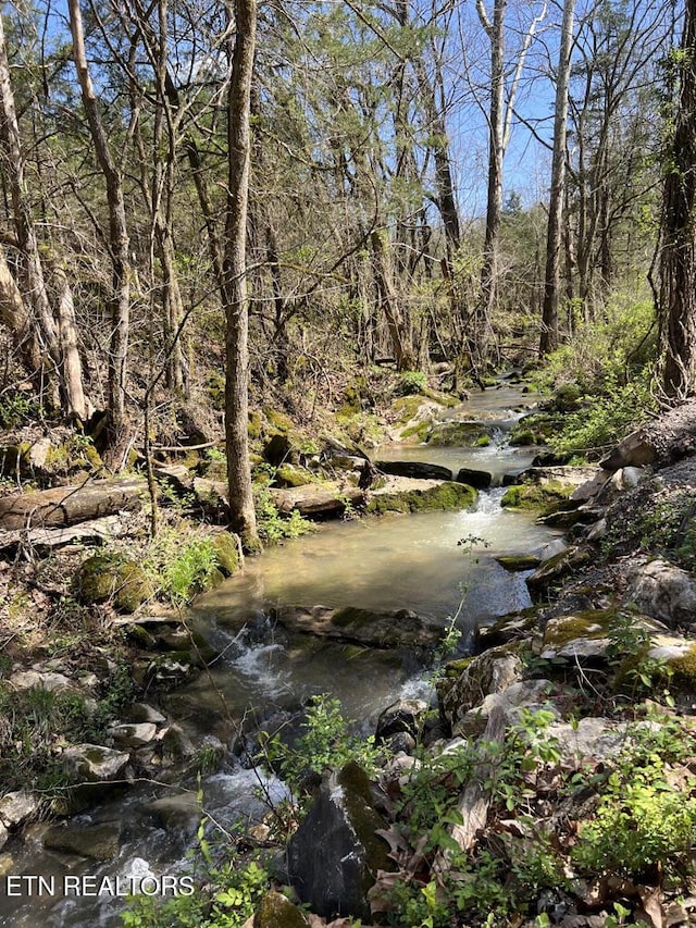 view of nature