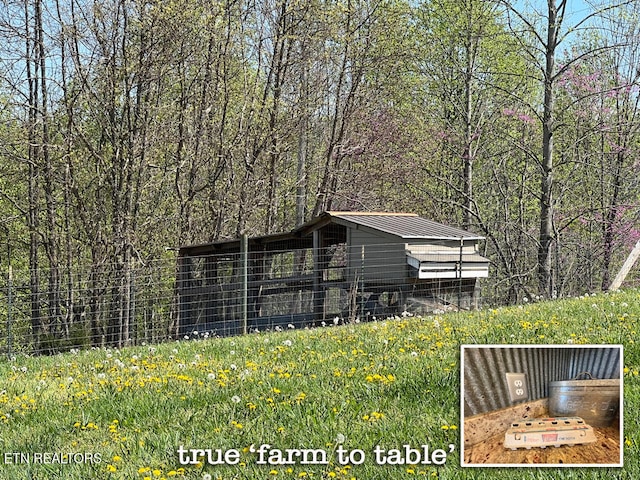 view of poultry coop