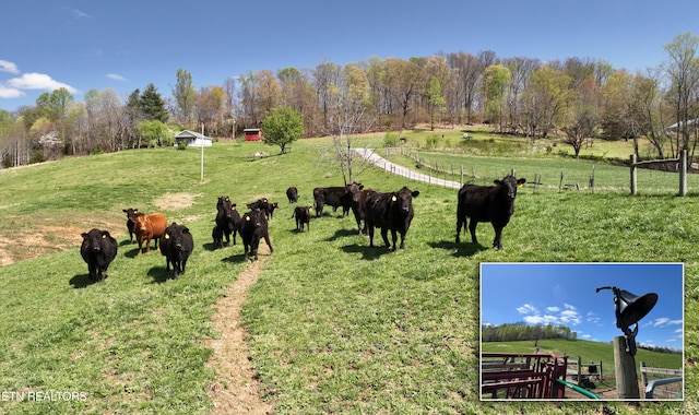 view of property's community featuring a lawn, fence, and a rural view