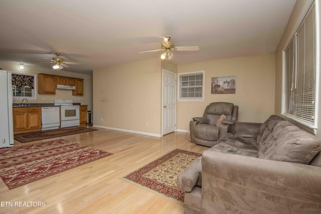 211 Peanut Ln, New Tazewell, TN 37825 - living area featuring baseboards, a ceiling fan, and light wood finished floors