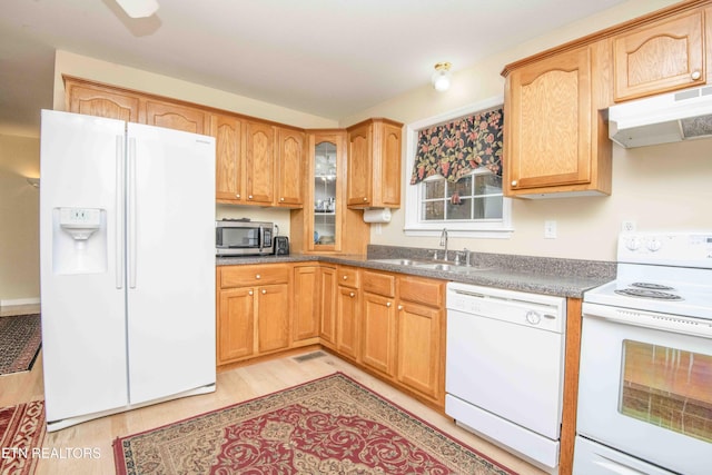 211 Peanut Ln, New Tazewell, TN 37825 - kitchen featuring white appliances, glass insert cabinets, under cabinet range hood, light wood finished floors, and a sink