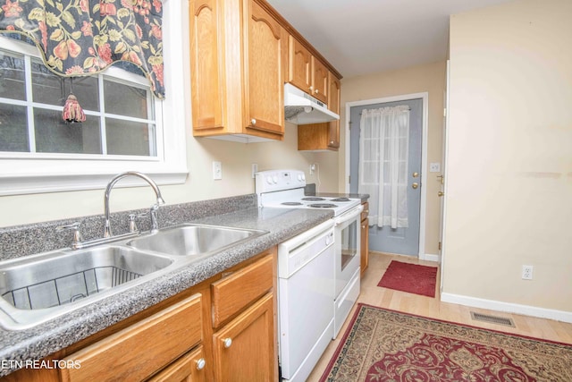 211 Peanut Ln, New Tazewell, TN 37825 - kitchen with visible vents, baseboards, a sink, white appliances, and under cabinet range hood