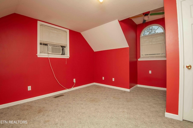 211 Peanut Ln, New Tazewell, TN 37825 - additional living space with visible vents, baseboards, carpet floors, and lofted ceiling