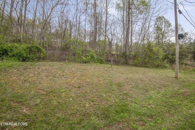 211 Peanut Ln, New Tazewell, TN 37825 - view of yard