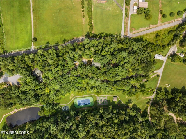 bird's eye view