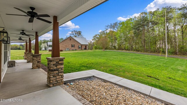 335 Bonne Vista Dr, White Pine, TN 37890 - photo 24