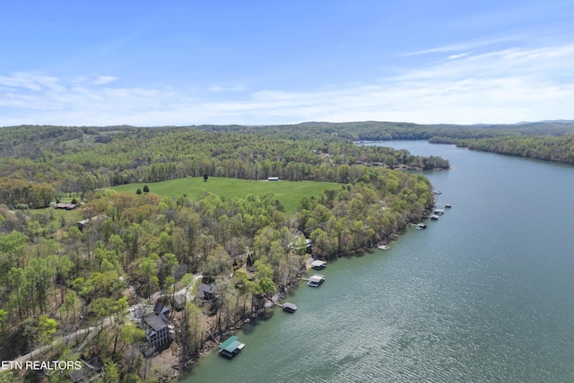 birds eye view of property featuring a water view and a forest view