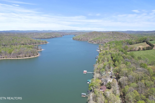 birds eye view of property featuring a forest view and a water view