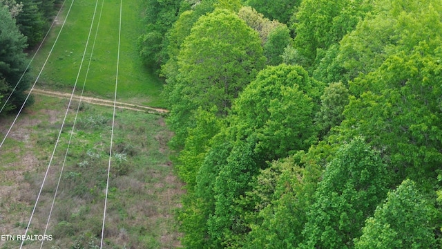 Peters Ford Rd, Sunbright, TN 37872