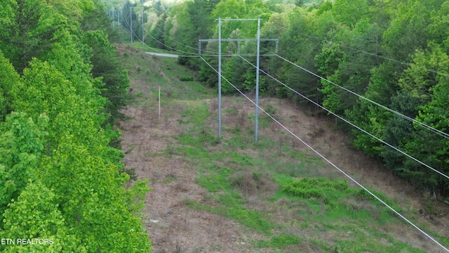 Peters Ford Rd, Sunbright, TN 37872