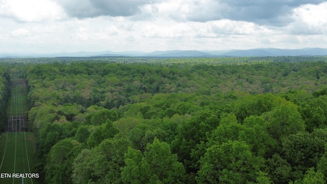 Peters Ford Rd, Sunbright, TN 37872