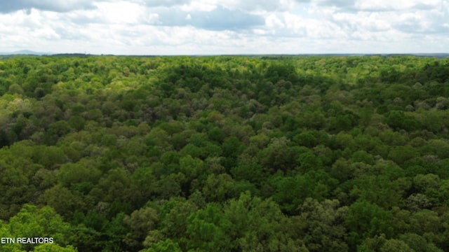 Peters Ford Rd, Sunbright, TN 37872