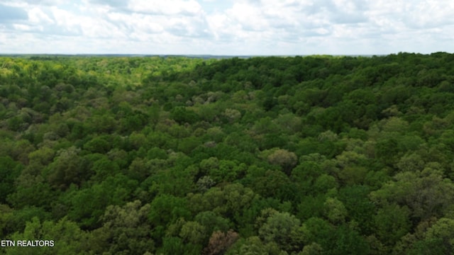 Peters Ford Rd, Sunbright, TN 37872