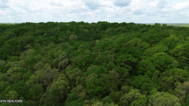 Peters Ford Rd, Sunbright, TN 37872
