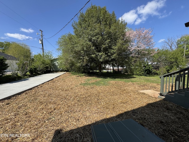 304 Broad St, Sweetwater, TN 37874 - view of yard