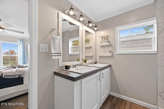ensuite bathroom featuring a sink, connected bathroom, and a healthy amount of sunlight