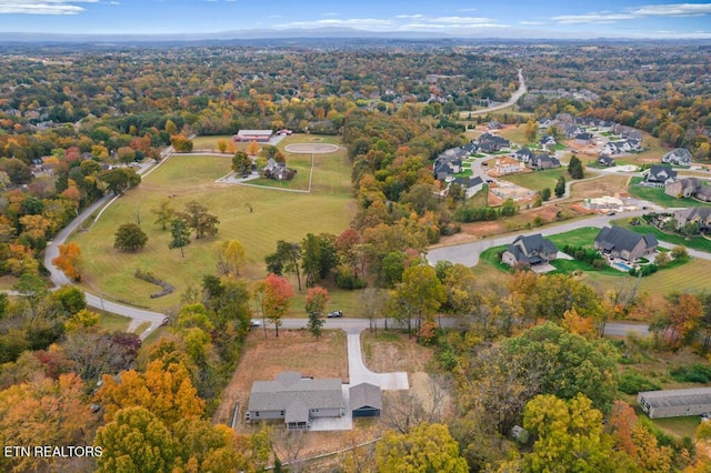 drone / aerial view