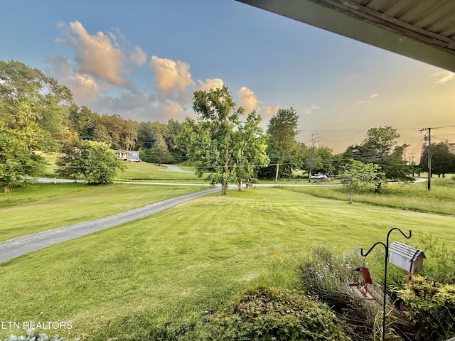 7717 Rosie Ln, Strawberry Plains, TN 37871 - photo 10