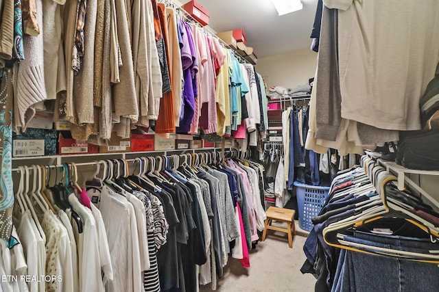 10 Claremont Cir, Fairfield Glade, TN 38558 - walk in closet featuring carpet floors