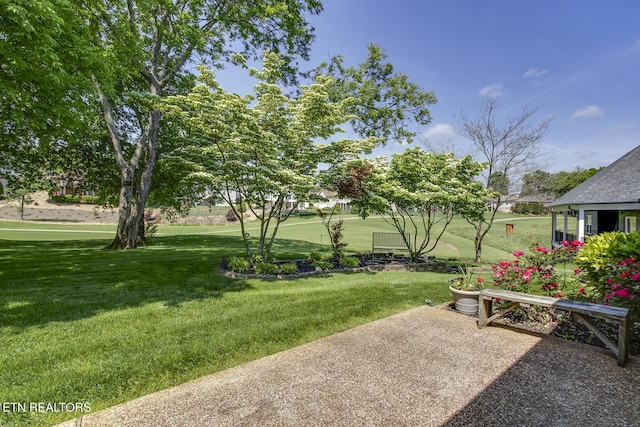 212 Tooweka Ln, Loudon, TN 37774 - view of grassy yard