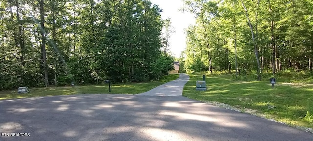 view of home's community with a lawn