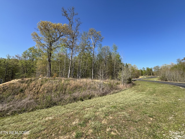 Thief Neck View Dr, Rockwood, TN 37854 - photo 1