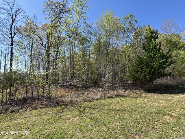 Thief Neck View Dr, Rockwood, TN 37854 - photo 10