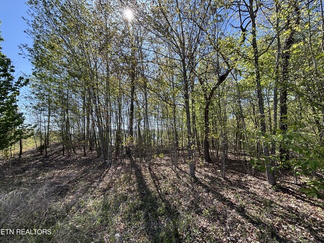 Thief Neck View Dr, Rockwood, TN 37854 - photo 11
