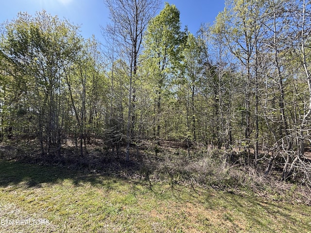 Thief Neck View Dr, Rockwood, TN 37854 - photo 15