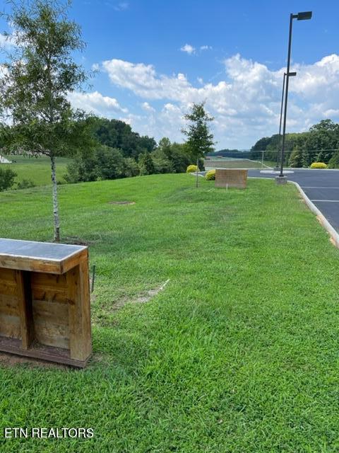 Thief Neck View Dr, Rockwood, TN 37854 - photo 25