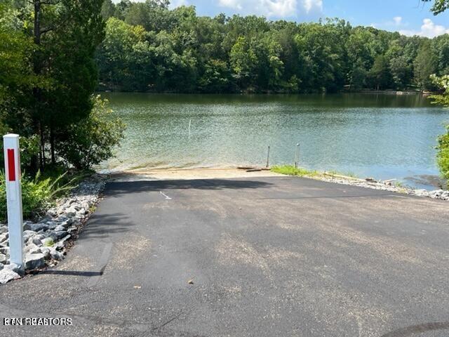 Thief Neck View Dr, Rockwood, TN 37854 - photo 29