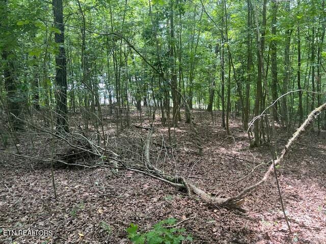 Thief Neck View Dr, Rockwood, TN 37854 - photo 39