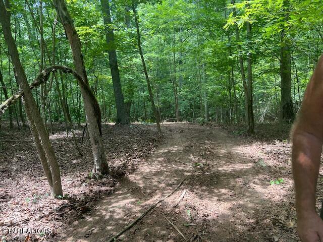 Thief Neck View Dr, Rockwood, TN 37854 - photo 5