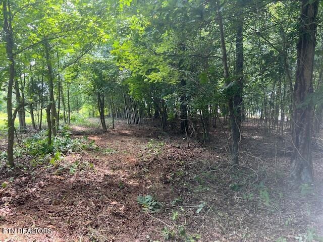 Thief Neck View Dr, Rockwood, TN 37854 - photo 40