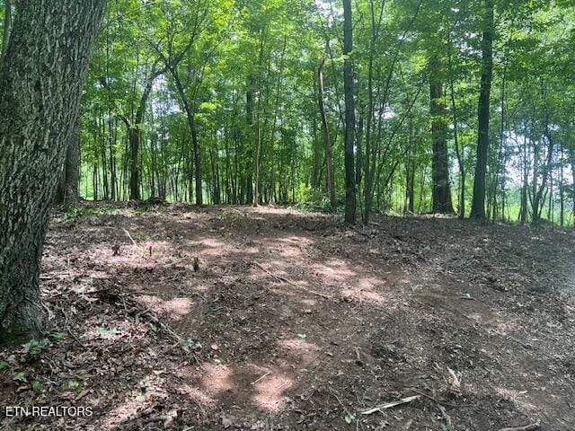 Thief Neck View Dr, Rockwood, TN 37854 - photo 8